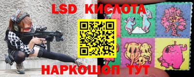 стаф Бузулук