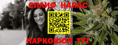наркотики Будённовск