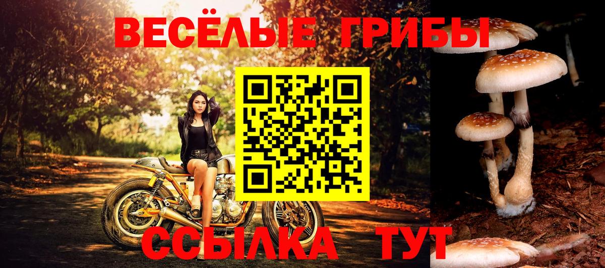 Галлюциногенные грибы MAGIC MUSHROOMS Острогожск